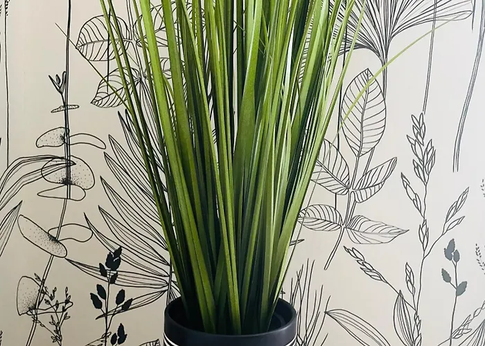 Centre-ville Republique *